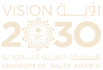 Vision 2030